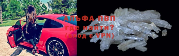 стаф Ростов