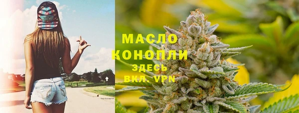 крисы Гатчина